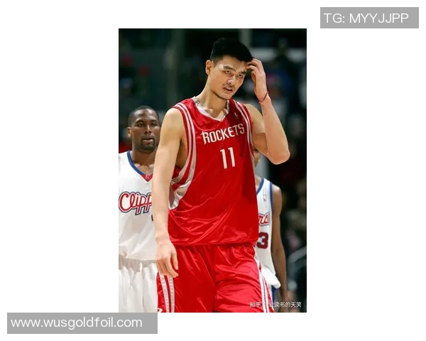 姚明秋季风采尽显的唯美瞬间与篮球精神的完美结合