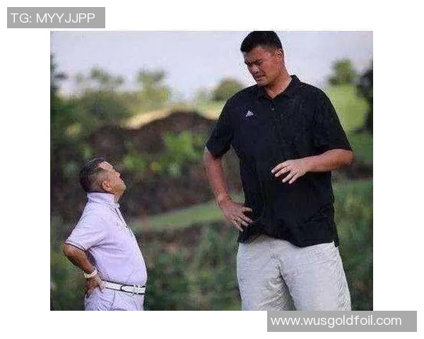 姚明搞笑瞬间大揭秘这些恶搞照片让你捧腹大笑不止 姚明搞笑瞬间大揭秘这些恶搞照片让你捧腹大笑不止