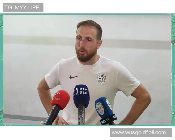 斯洛文尼亚足球明星的辉煌历程与成就探秘